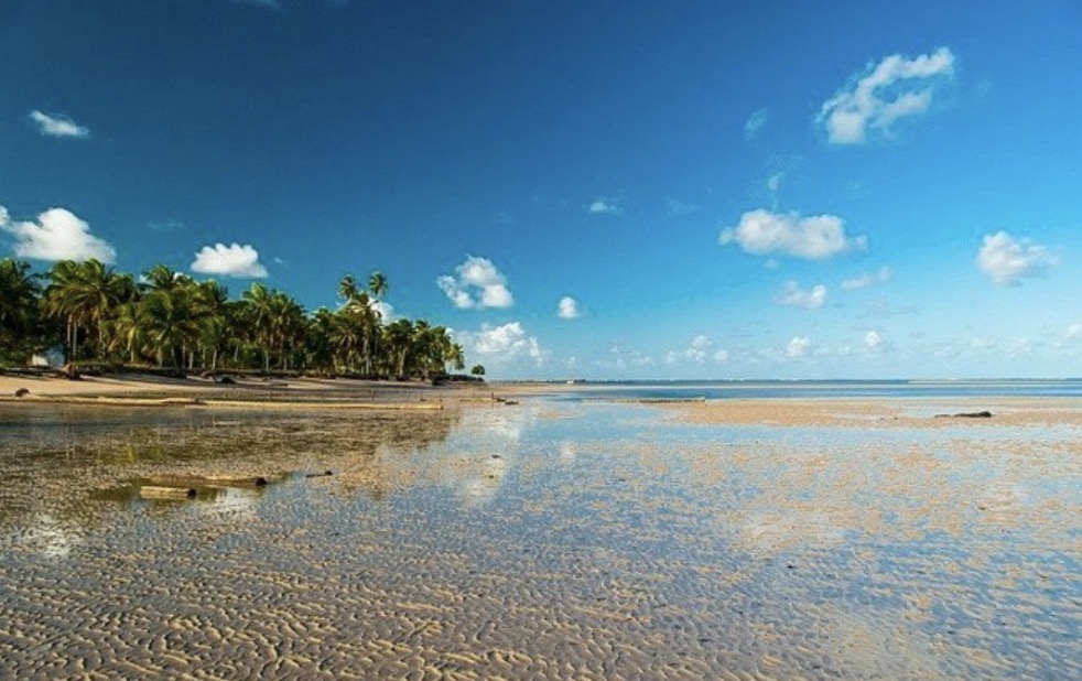 Praia de Tatuamunha